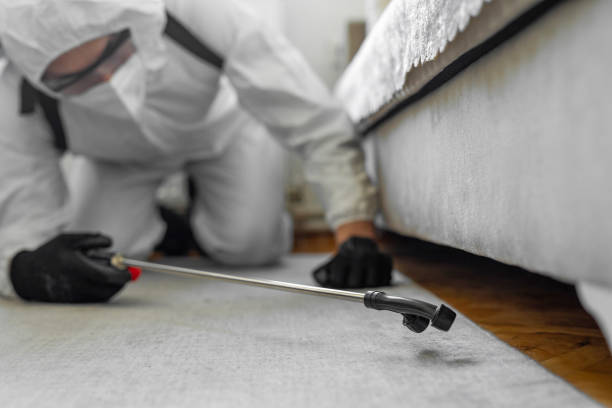 Professional Termite Control technician working in Royal Palm Beach, FL
