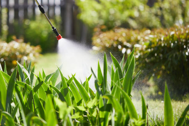 24/7 Emergency Termite Control experts in Royal Palm Beach, FL